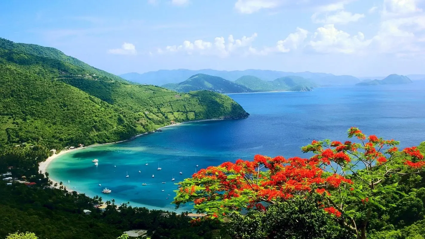 高端高质量
